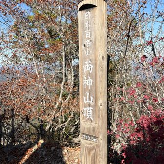 木が邪魔やし
大展望ってほどではない
（北アは見えるよ