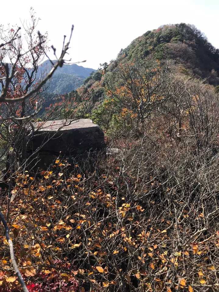 多良岳（佐賀・983m）| 登山ルート・天気 | YAMAP / ヤマップ