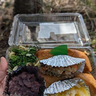 道の駅で買ったお弁当、安くて美味しい！