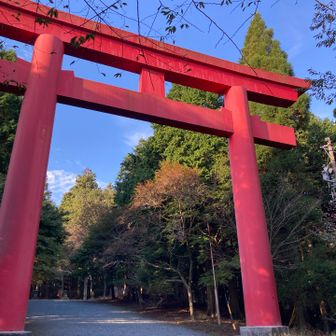 大鳥居⛩️