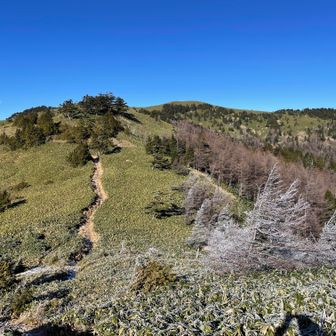 これから行く富士見台高原方面