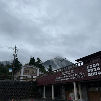 小雨に