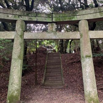 この鳥居、覚えてました