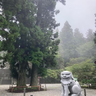 大木も素晴らしい✨