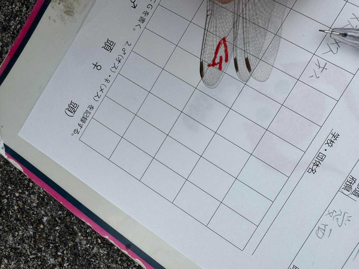御在所岳のG
