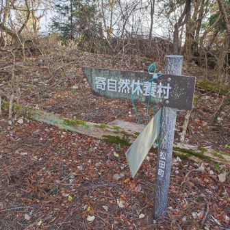 ここを９０度左に曲がります。

寄自然休養村には道が崩壊してて行ってはいけないみたいですが、松田山の頂上はすぐそこなので大丈夫です。