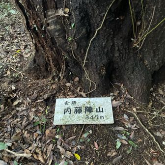 今日はガスに覆われているし、皿倉まで行かずに降りることにします
花尾の東回りコースもだいぶ落ち葉が積もり、猪🐗に掘り返されて歩きにくくなっていますが、こちらは人通りが少ないので仕方ないですね