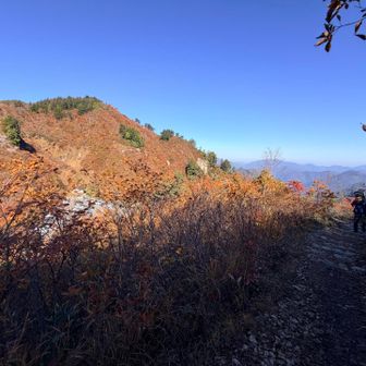 今回は限られた時間で
『少しだけ』紅葉を楽しむ登山なんよ🍁✨