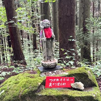 緩い登りで巻いて行きます