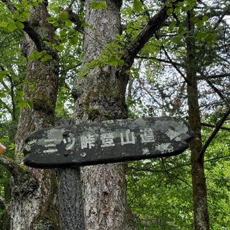 レトロちっくな標識