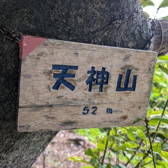 忠魂碑の裏に山頂表記みーっけ👍️
