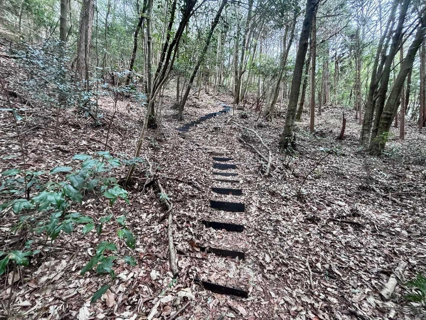 落ち葉がとにかく滑る