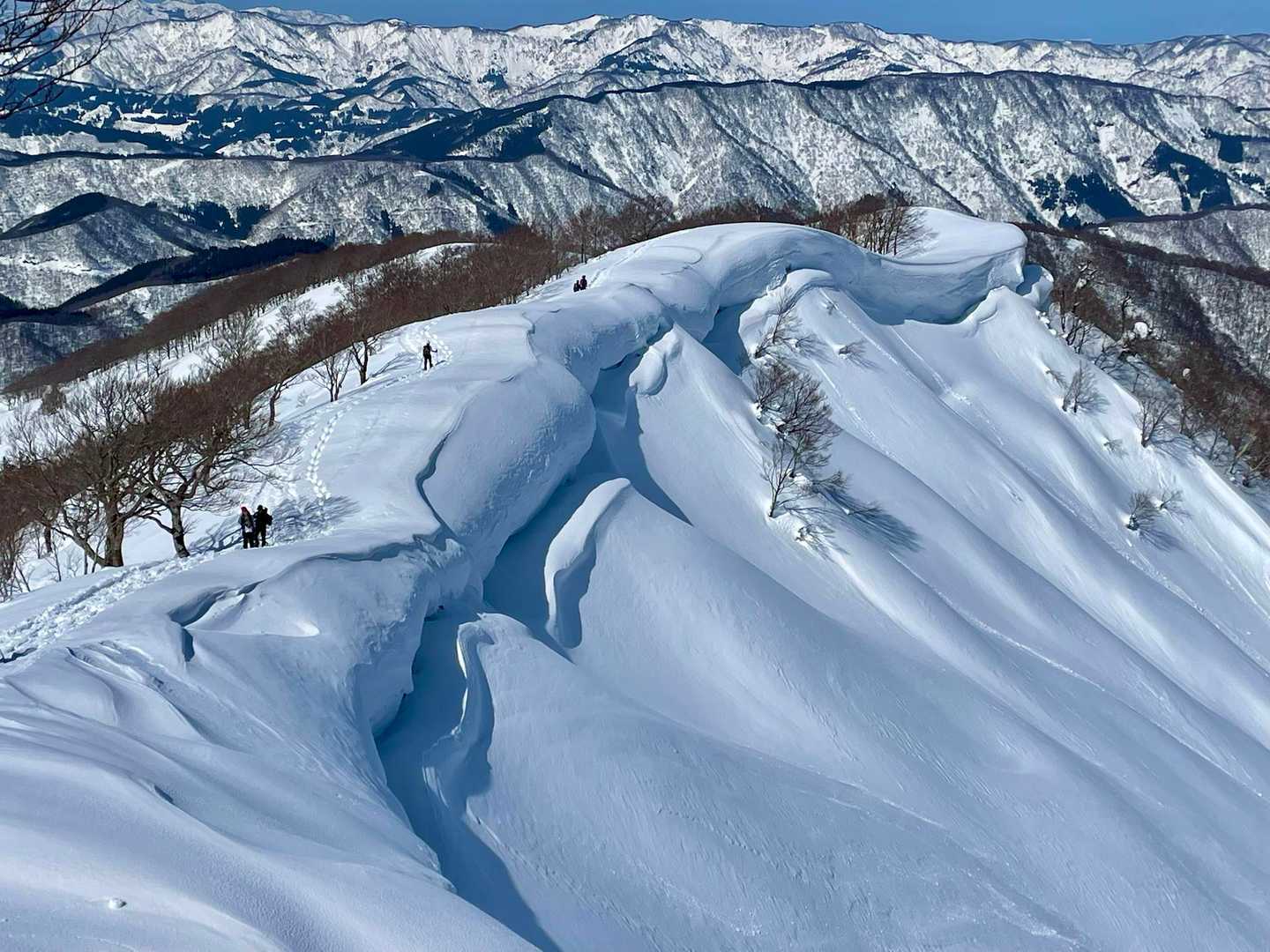 凄いねー👍