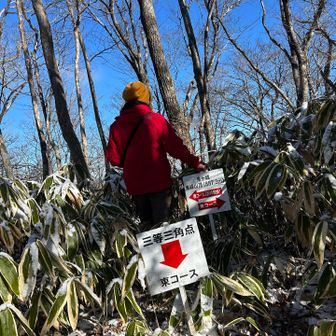 東峰山頂♪
下ばかり見て歩いてたら気が付かず、通り過ぎてしまいそうな山頂でした（笑）