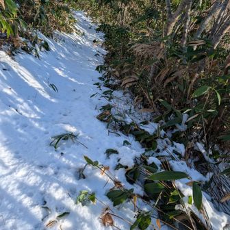 滑りそう😵‍💫