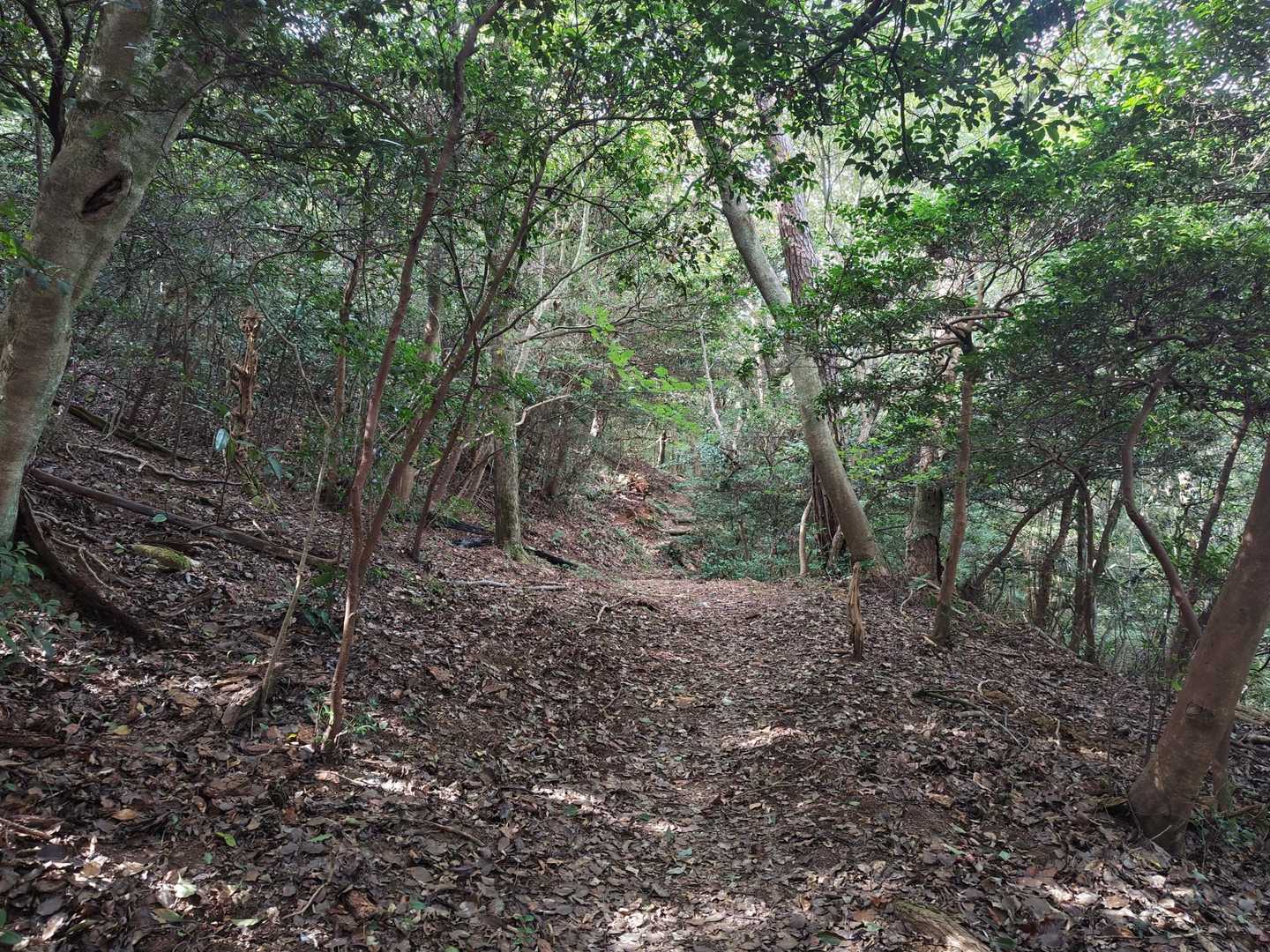 愛宕山-象頭山-大麻山-大麻山登山口-奥社-白峰神社-金刀 周回コースの写真