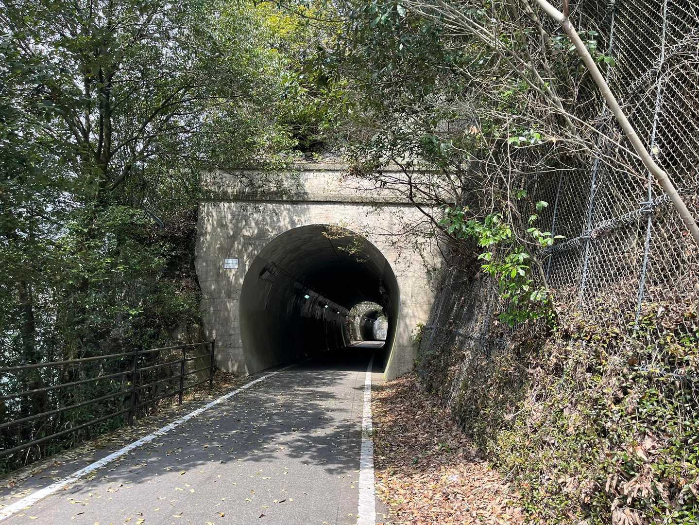 トンネル
サイクリングやウォーキングされてる方がチラホラ