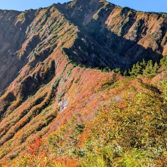 絶景〜
赤沢岳まだまだ。
あの稜線を登ります
