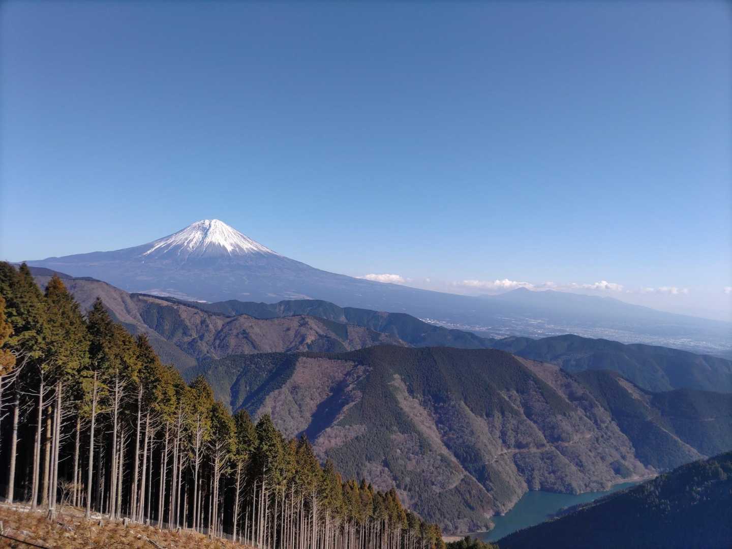 井手駅-八木沢峠-思親山 往復コースの写真