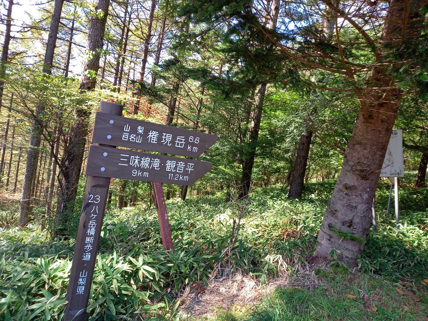 15分程上って行くと