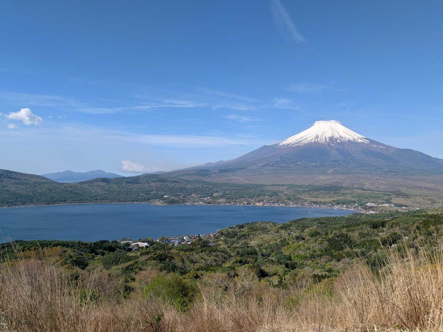 長池親水公園前バス停-大平山ハイキングコース入口-大平山- 周回コースの写真