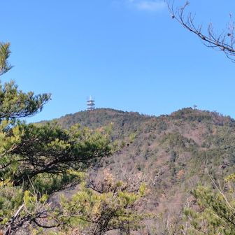 NTTの電波塔は社家郷山からもよく見えます。