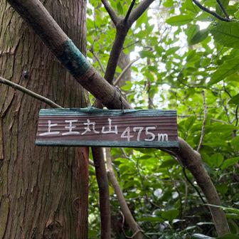 そして２座目の上王丸山は本日の最高峰⛰️これで記念すべき400座達成🎉展望なし。