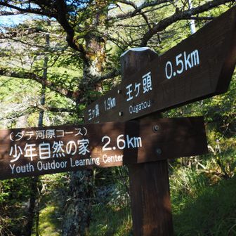 ここは
王ヶ鼻方面へ