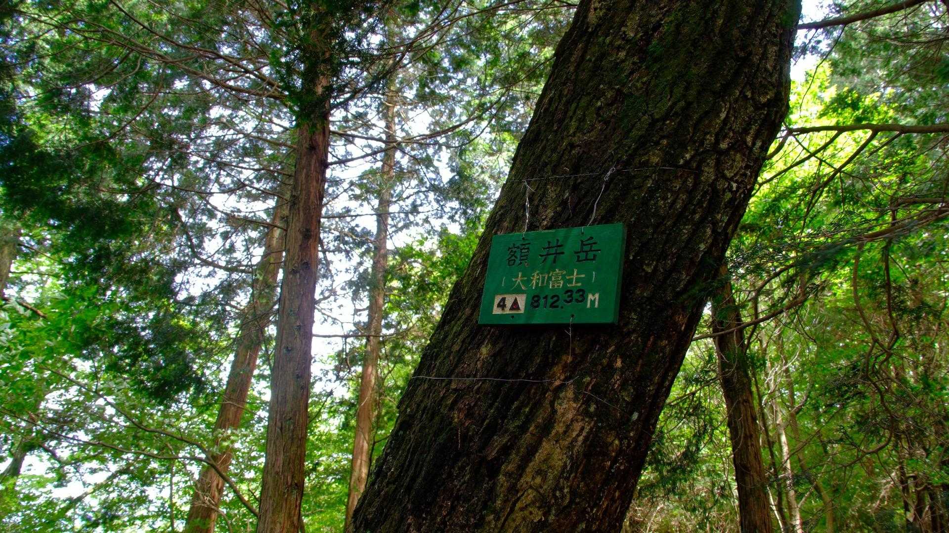 眺めはありませんが、昔は見えたのかなあ。
毎年、登山大会も主催されているから、ここも整備してほしいなあ。