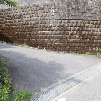 駐車場から一度下って学能堂山側へ。
この先にも駐車スペースあり。この先の所は5台程度なので時期によっては埋まってます。
