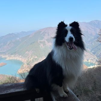 景色の良いところで給水タイム