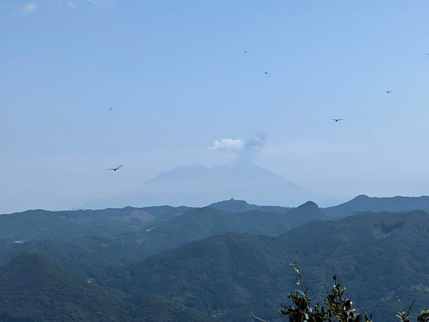 桜島🌋モクモク