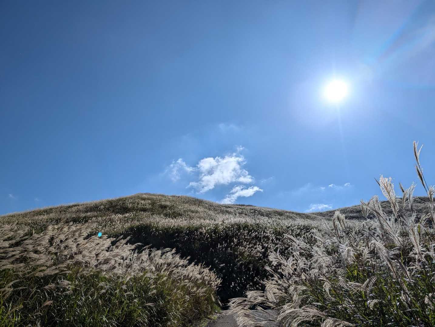 塩塚峰、素敵な所でした✨