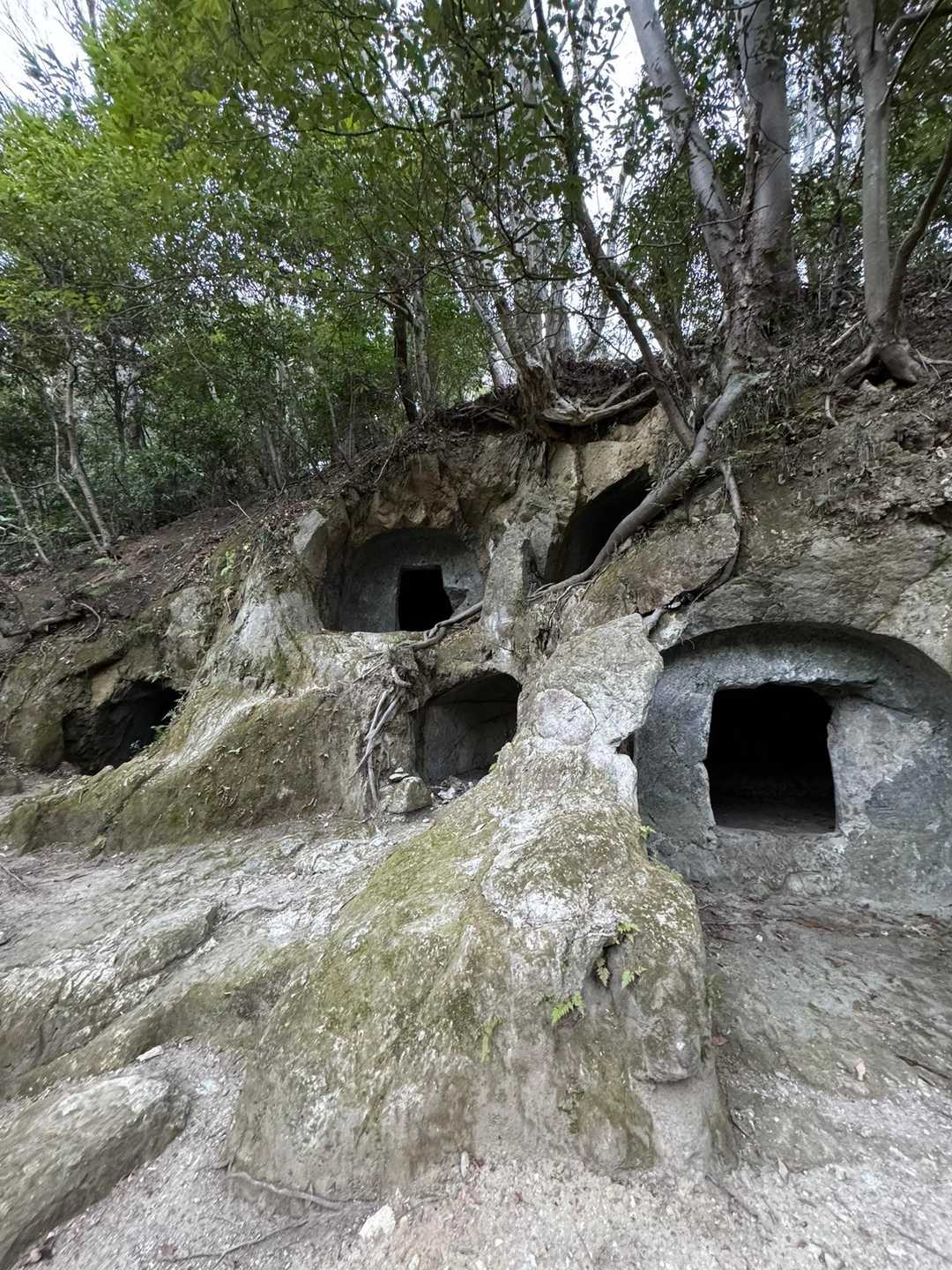 大磯駅-湘南平-高麗山公園入り口 周回コースの写真