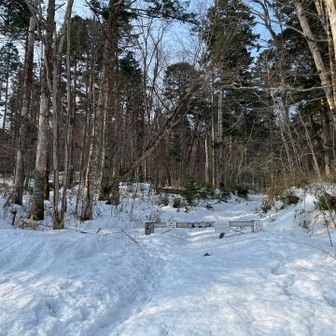 スノーシューでスタート