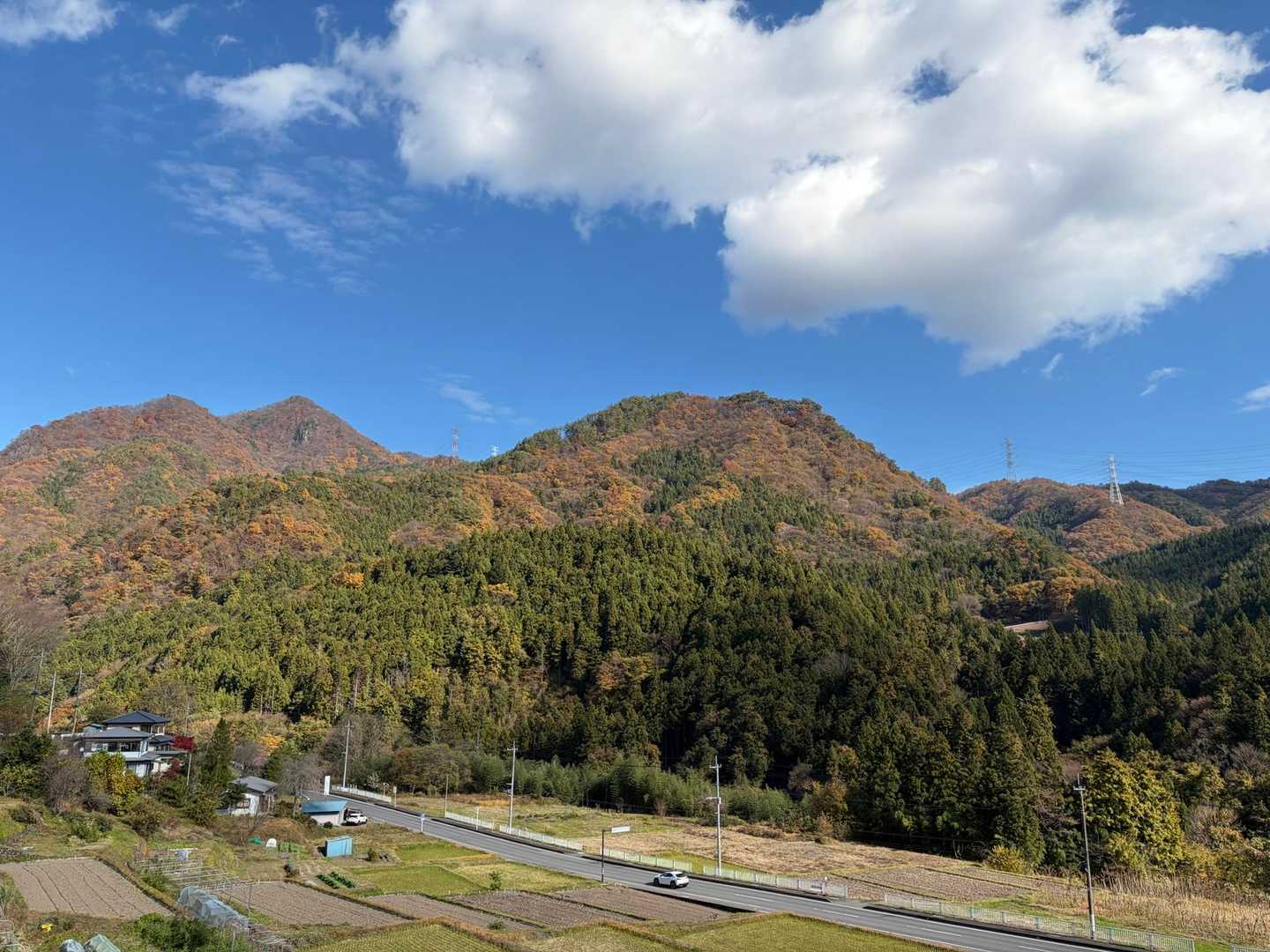 駐車場まで歩く途中の景色
青空で気持ち良いです🎶