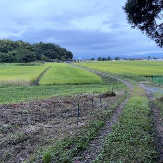 暗くなる前に登山口に戻った