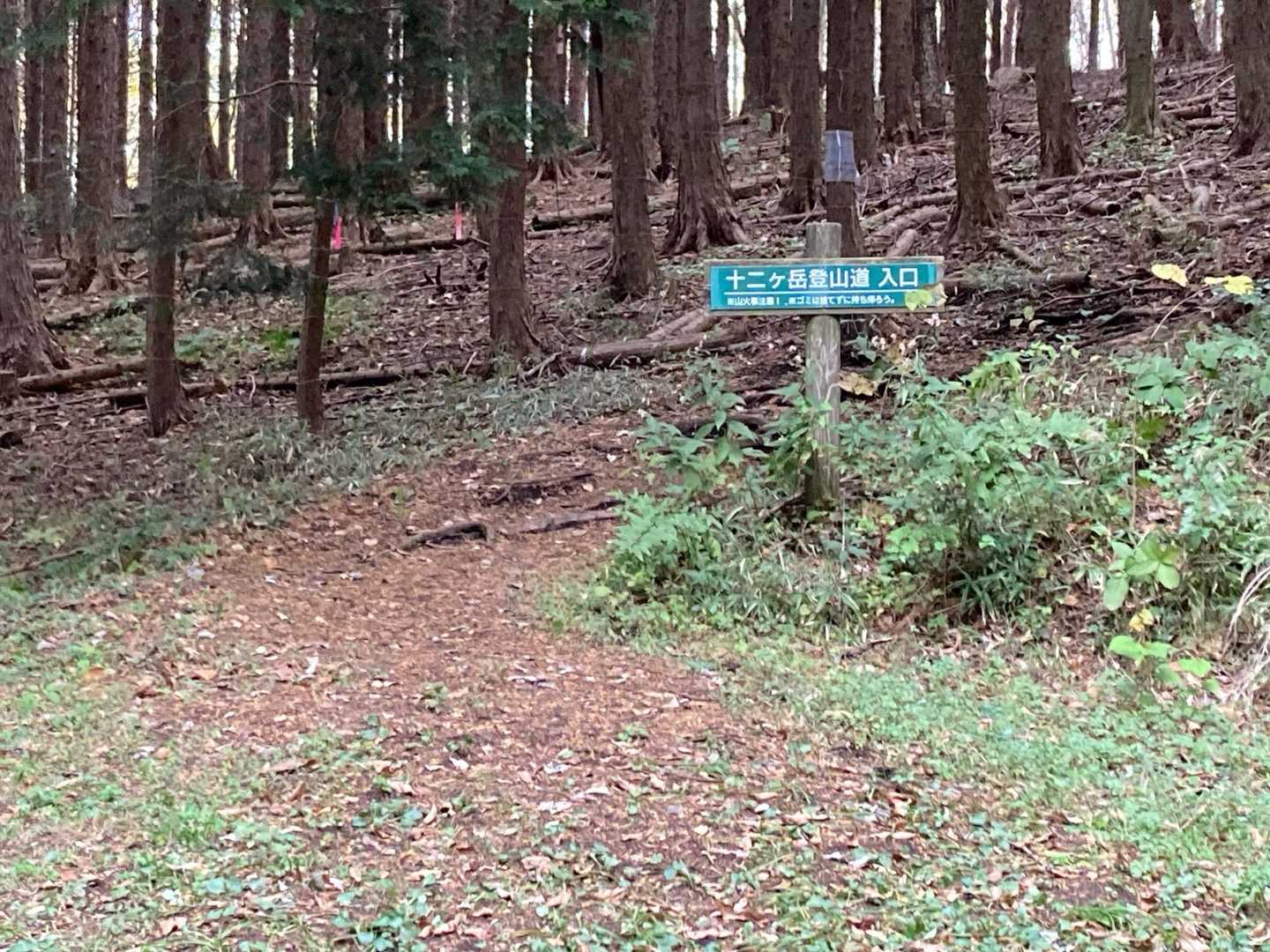 登山道入ります