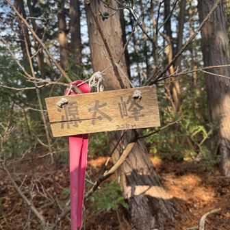 登頂
景色はありません