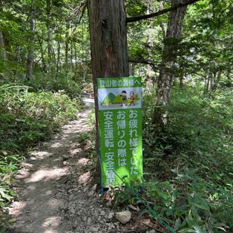 無事に下山🤗

「燕岳〜大天井岳」は思っていた以上にキツかった💦でも、山小屋でお話を聞くと常念岳や槍ヶ岳を目指す方々が沢山👏尊敬です🫡

今年は雷鳥さん🐦に会えなかったのが残念でしたが雨に降られる事も無く、無事に縦走できて本当によかった😊

表銀座最高🎉🎉
