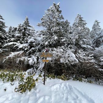雲が多くなってきた。昼からテンクラCの予報が当たり。爆風で寒かった。