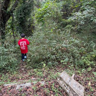 分岐からピークを目指します⛰️