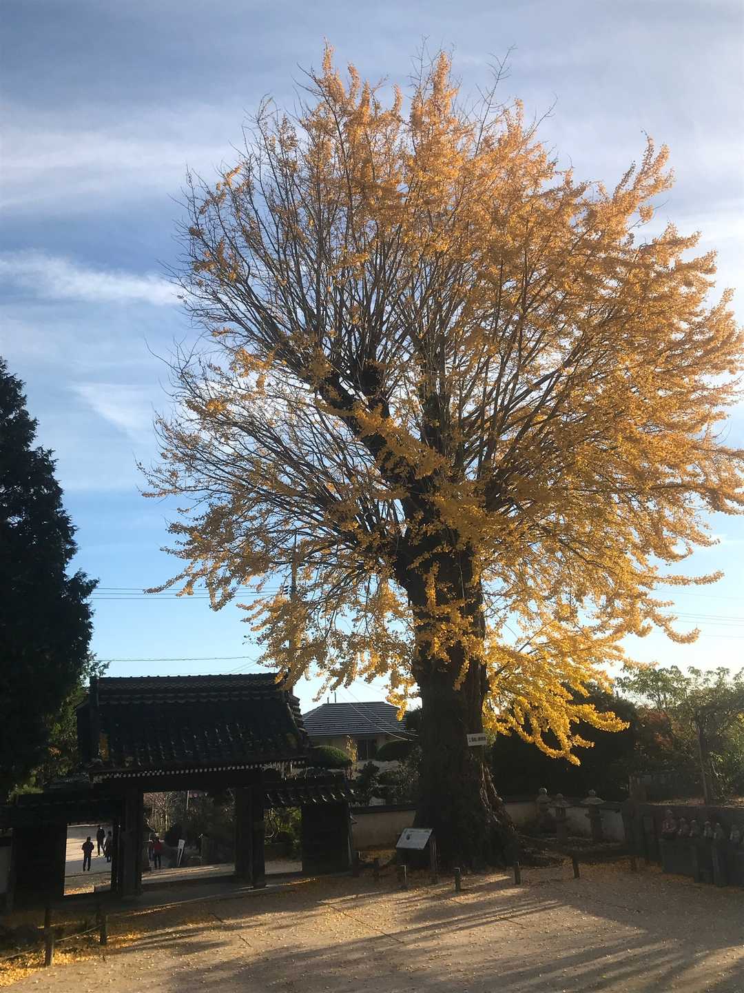 天徳寺コース入口-石船山-右田ヶ岳-塔之岡登山口-塚原登山 周回コースの写真
