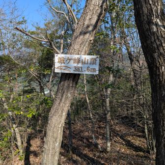 ここにもカッコいい山頂マーク✨