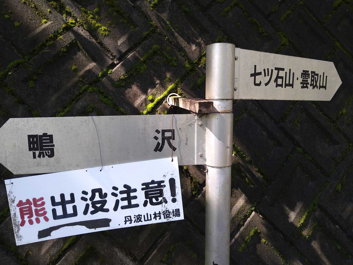 実は昨日も熊が出たらしい。マジか…。
