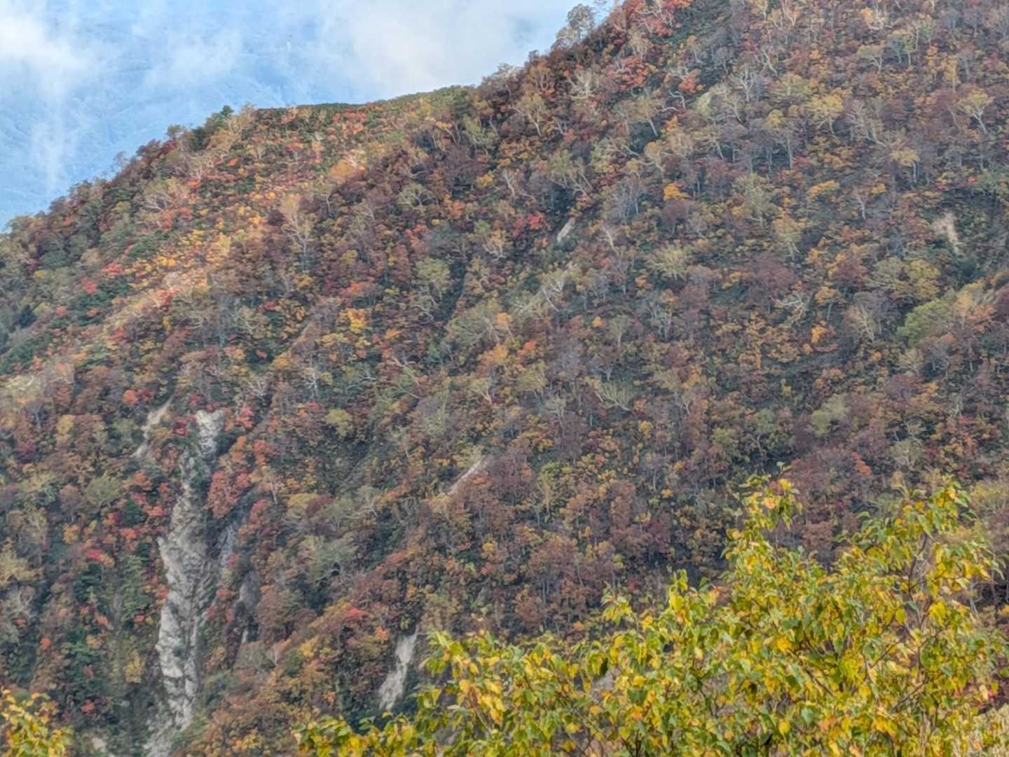 地蔵の頭-二ノ背髪-小遠見山-五竜登山口-中遠見山-大遠見 縦走コースの写真