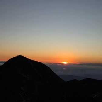 きたよ‼️きたよ‼️