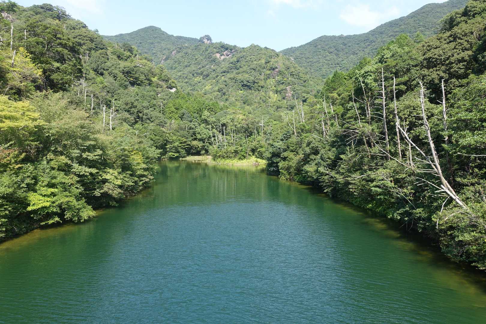 帰りの有田ダムの様子。緑色の湖面がきれいでした。
