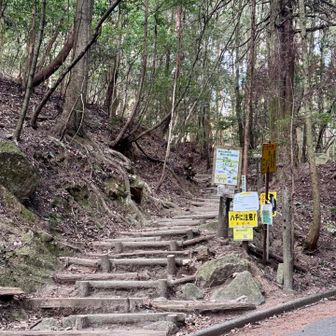 いつもの御門杉からスタートです