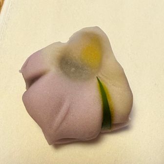 のかよ